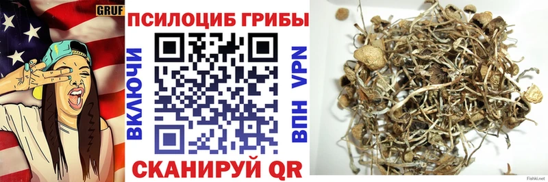 Псилоцибиновые грибы ЛСД  Купить где  Усть-Лабинск 